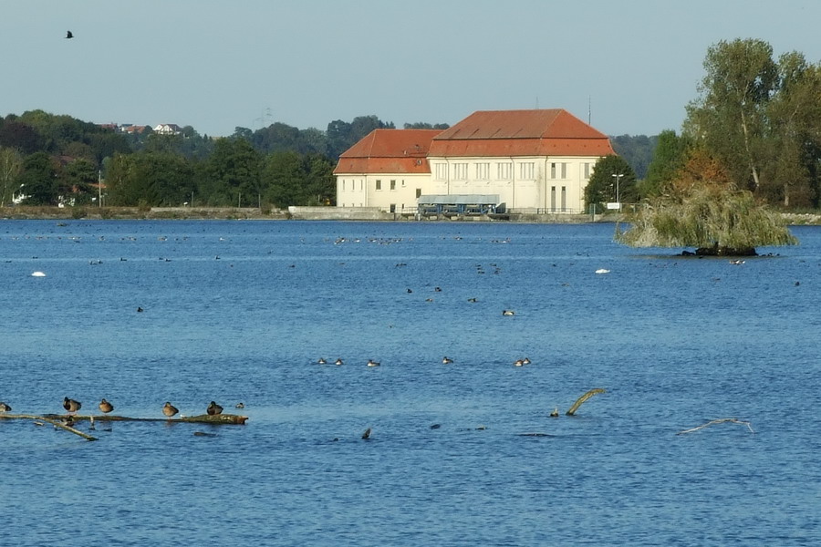 Stausee Öpfingen bedingt barrierefrei