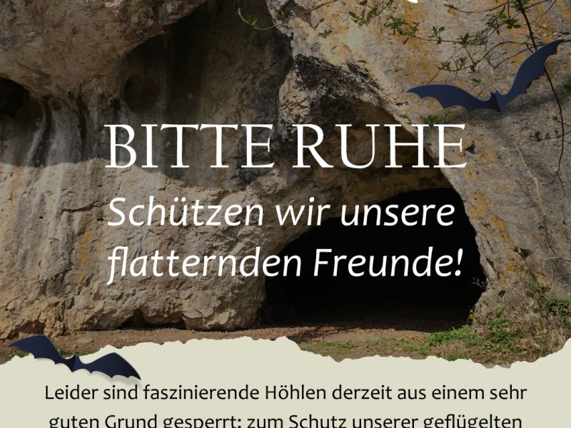 Bitte-Ruhe-Höhlen