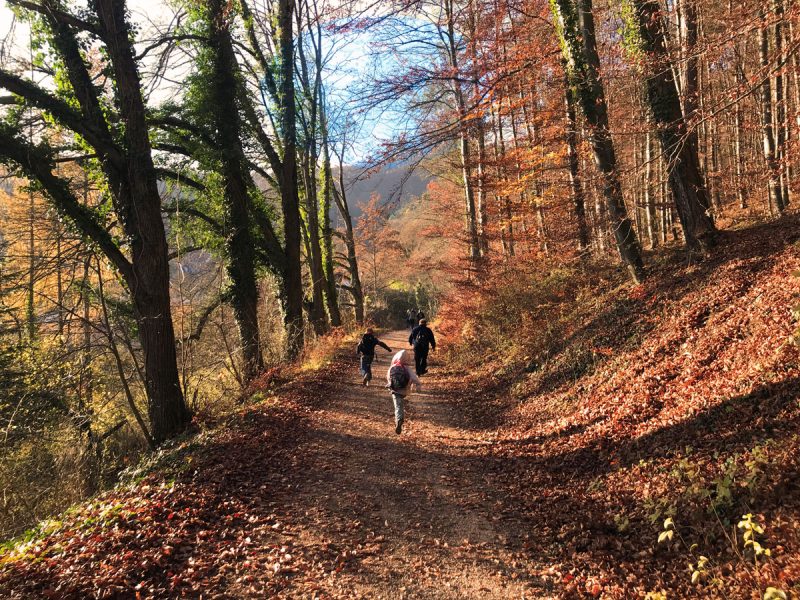 Blaubeuren_Tugendpfad