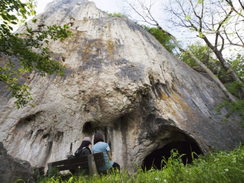 Sirgensteinhöhle